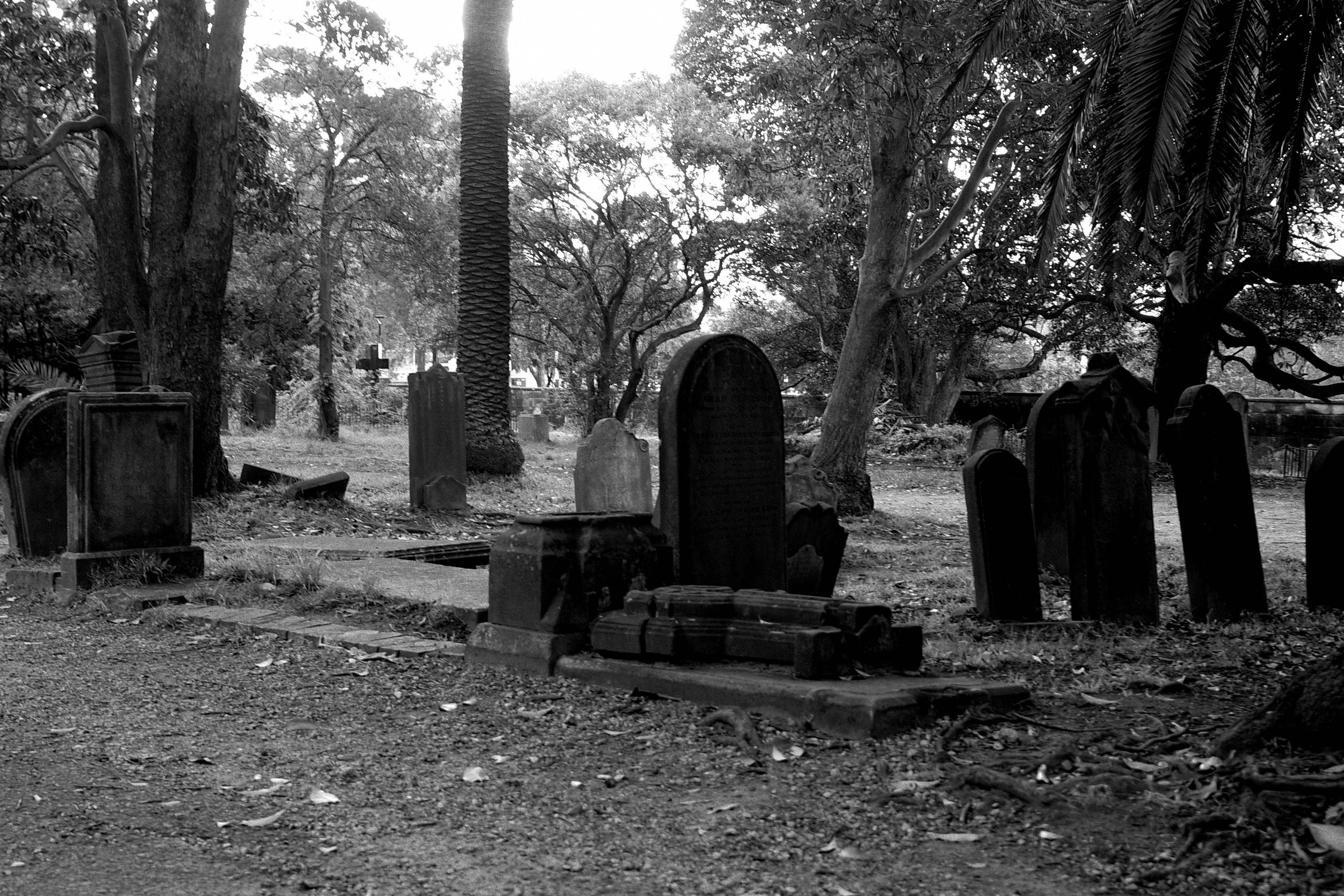graveyard-3